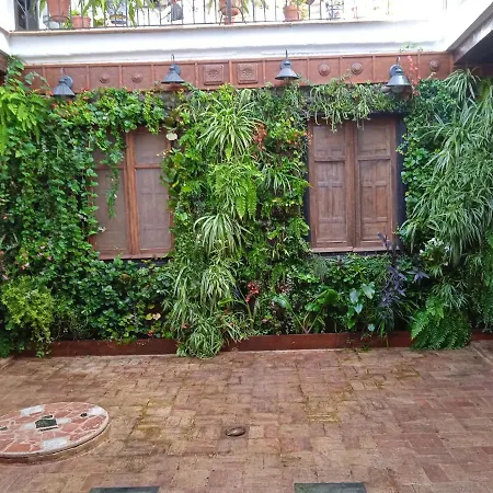 アパート Curioso Apartamento Tipo Loft De 25 M Cuadrados *
